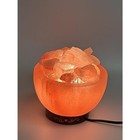 Himalayan Pink Salt Lamp Bowl Natural Crystal Salt Chunks Dimmer Switch Night Li