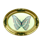 Vintage Petit Point Wall Art Butterfly Set Of 2 Framed Butterflies Hand Made