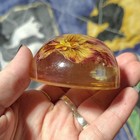 Vintage Rockwood Girl Scouts Usa Resin Paperweight With Embedded Flower