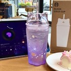 New Starbucks Korea 2026 Cherry Blossom Cat Glass Cold Cup 500ml Sakura Tumbler