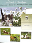 Christian Greeting Cards With Scripture Lot Of 4 Boxes Birthday Get Well Etc