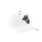 Coastal Carolina Chanticleers Ncaa Officially Licensed Snapback Hat Competitor W