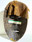 Gissi Poro Society Initiation Mask Liberia West Africa Wood W  Cloth Cowrie