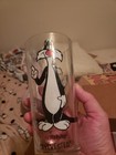 Vintage Sylvester Cat Pepsi Collector Series Warner Brothers 1973 Drinking Glass