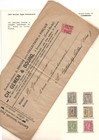 Precancels - Luxembourg Exhibition Collection - 1901-1925 Many Scarce Items 