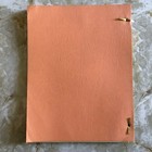 Lost In Space Tv Show Original Screenplay Script 1966  the Questing Beast 