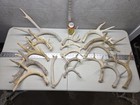 Bulk Lot  9 2lb Wild Cgrade Whitetail Deer Antler Shed Cuts Horn Decor Weathered