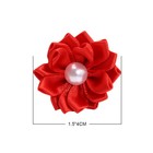20pcs Small Dog Hair Bows With Rubber Band Holiday Pet Puppy Groming Accessories