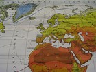 School Wall Map Beautiful Old World Map Climate Map 248x163cm Vintage  1960