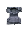 Security Forces Plate Carrier