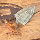 5  Firestorm Damascus Steel Hunting Knife For Camping B 172  