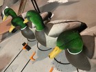 Head Flocked Mallard Field Decoys
