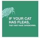 Elanco Tapeworm Dewormer  praziquantel Cat- 6 Weeks Or Older  Yellow Or Brown