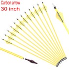 12pcs Archery Carbon Hunting Target Arrows 30inch Sp500 For Compound recurve Bow