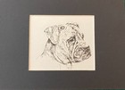 Mastiff  head  - Matted   Framed   Ready To Gift - 1963 Vintage Dog Print