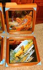 Complete Set Of 6 Miller Beer 3rd Wildlife Mirrors  nos  Unused W Boxes The Best