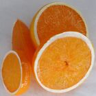 Artificial Orange Fruit Slices Real Look 4 Styles 10 Piece Assortment 12502024
