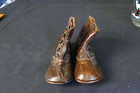Antique Hapytoz Leather Children s Shoes Boots 5 Buttons Bakelite  Size 4 5 New