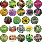24 Bags Natural Dried Flowers For Soap   Candle Making  Includes Rose Petals