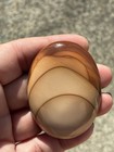 Bruneau Jasper Jumbo Cabochon 62 X 47 Mm - Wt  33 Gr  Old Stock Rock Shop Estate