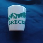 Collectible Destination Souvenir Vacation Breckenridge Colorado Shot Glass