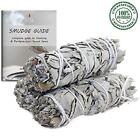 White Sage Smudge Sticks 4 Inch   Organic White Sage Smudging Wands   Bulk