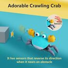 Crawling Crab Baby Toy With Music Led Light - Walking Dancing Toy Gift For Kids