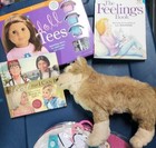 American Girl Doll Accessories Lot Outfits Books Plush Dog 18    Doll Bundle