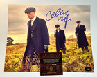 Cillian Murphy  peaky Blinders  Signed 8x10  Authentic Original Autograph W coa