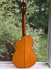 Cordoba 55fce Flamenco Classical Guitar
