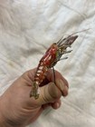 New Fish Taxidermy Real Crayfish Crawdad Dried Preserved Approx 4 Inch