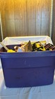 Huge Lot Of Vintage   Modern Mixed Toys     Cars  Trucks  Figures  Tools  Plush 