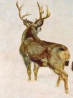 1912 Winchester Rifle Winter Mule Deer Advertising Poster - 24x36