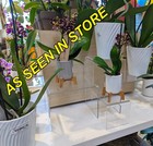 Heavy Duty 6 5  W X5 D x5h   Acrylic Plant Riser Stand Pedestal For Plant Pots
