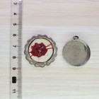 Reliquary   Relic   st  Maria Goretti