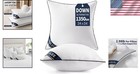 Set Of 2 Plush 24x24 Euro Pillow Inserts - Navy Blue Down Alternative Design