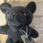 Black Peter 7  Grateful Dead Bear With Tag Limited Ed  29423 Liquid Blue 8311