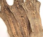 Ostrich Legs Leather Honey  black   stone Washed    100 Genuine Ostrich Leather 