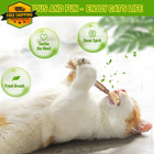 Natural Silvervine Cat Chew Sticks Dental Teeth Cleaning Toys For All Breeds