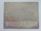 Vintage Luggage Label   Hotel Excelsior Taormina Sicile   Early Trub   Fine