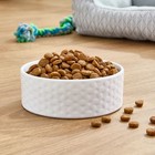 Wild   Free Grain-free Salmon   Pea Recipe Dry Dog Food 4 Lbs