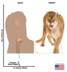 Mountain Lion Cougar Puma Larger Than Lifesize Cardboard Standup Standee Cutout