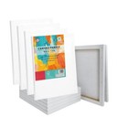 16 Pack Stretched Canvas For Painting Blank Art Cotton Canvases For Acrylic Oil