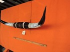 Mounted Steer Bull  Horns 4  0  Tip To Tip  381 Bull Horn Longhorn