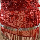 Red Sequin Belly Dance Skirt Silver Coin Fringe Beaded Festival Wrap One Size