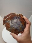 509g Arizona Petrified Wood Lapidary Specimen