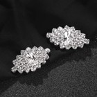 A Pair Elegant Sparkling Crystal Shoe Clips Wedding Party Boots Shoe Decoration