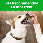 Greenies Original Flavor Adult Natural Dental Dog Treats Teenie Size 192 Ct