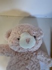 Aurora Ebba 12    Huggy Bear Pink Plush Stuffed Animal Toy Super Soft Read