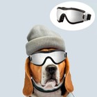 Fashion Pet Dog Doggles Goggles Uv Sunglasses Sun Glasses Eye Wear Protection